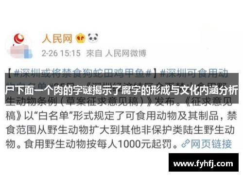 尸下面一个肉的字谜揭示了腐字的形成与文化内涵分析